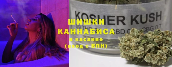 apvp Лагань