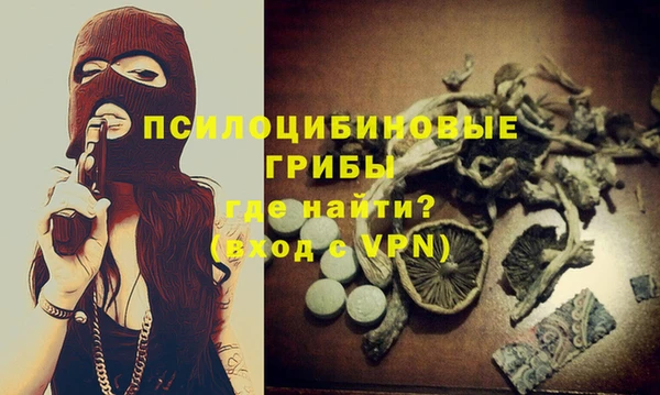 мет Ладушкин