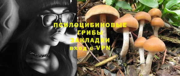 мет Ладушкин