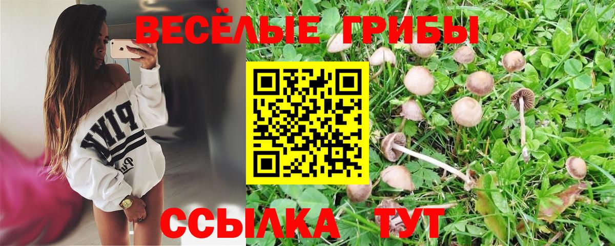 Галлюциногенные грибы GOLDEN TEACHER  Вход с VPN  Кызыл  Галлюциногенные грибы мицелий 